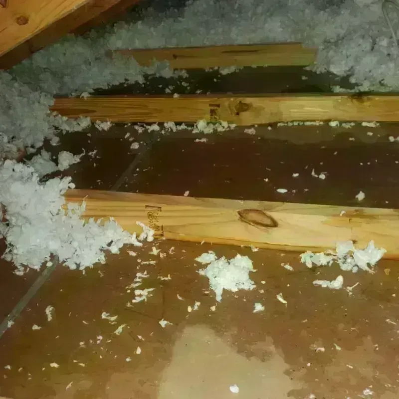 Attic Water Damage in Inverness, AL