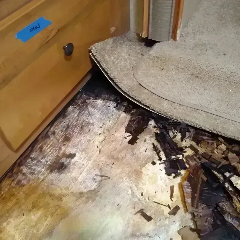 Wood Floor Water Damage in Inverness, AL